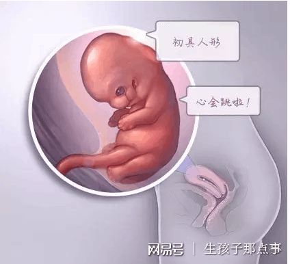 关于{ k1=g1 }